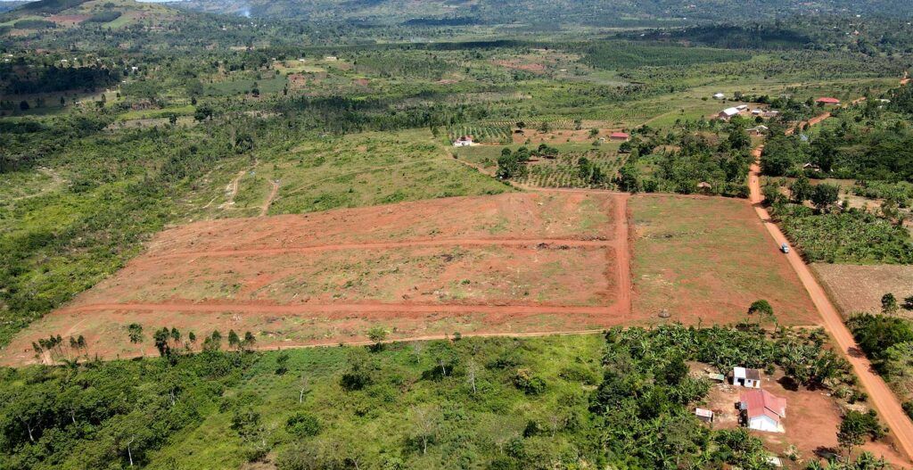 Green Estate offering cheap land in Mukono