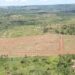 cheap land in Mukono