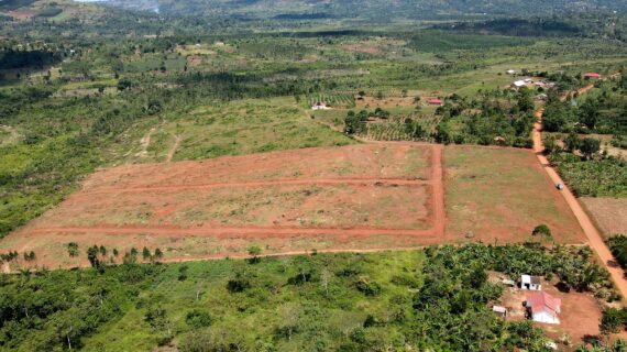 Sattelite Estate- Kisoga