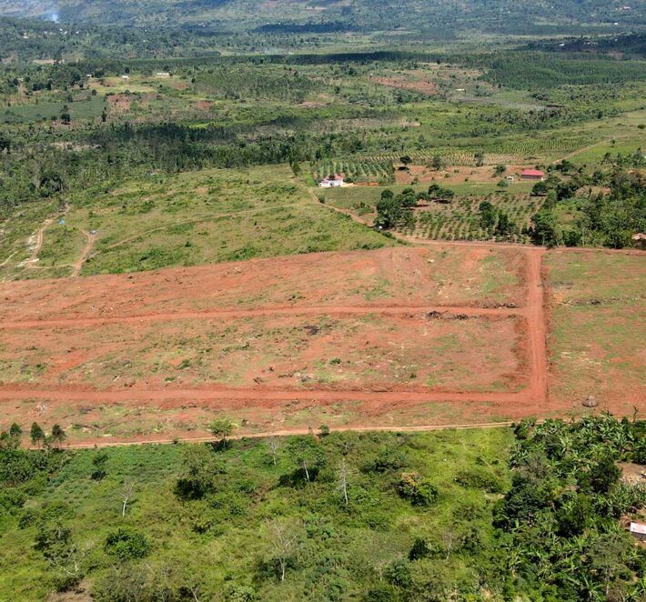 Sattelite Estate- Kisoga