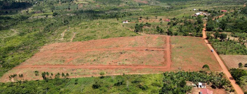 Sattelite Estate- Kisoga