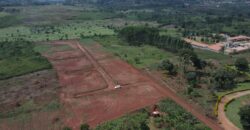 Kiyunga Estate Mukono