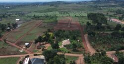 Kiyunga Estate Mukono