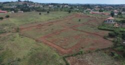Bwerenga Estate, Entebbe