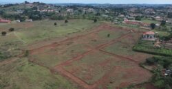 Bwerenga Estate, Entebbe