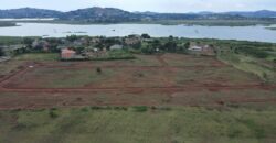 Bwerenga Estate, Entebbe