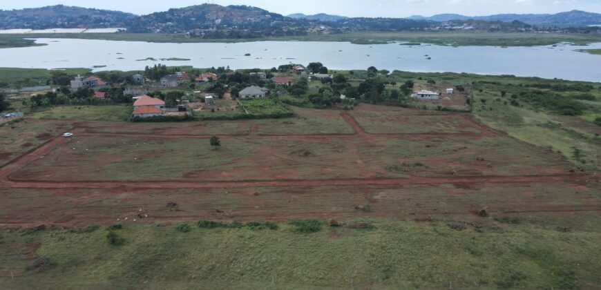 Bwerenga Estate, Entebbe
