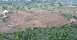 Kyabakadde Estate