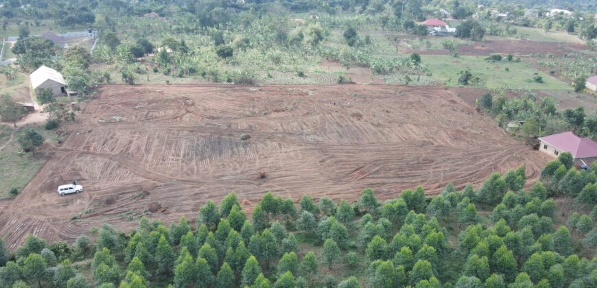 Kyabakadde Estate