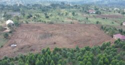 Kyabakadde Estate