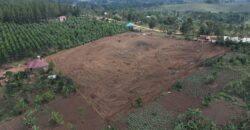 Kyabakadde Estate