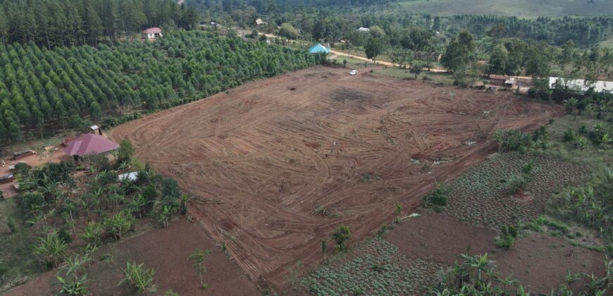 Kyabakadde Estate