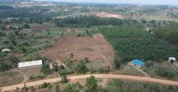 Kyabakadde Estate