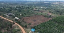 Kyabakadde Estate