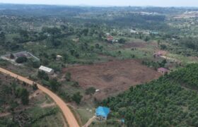 Kyabakadde Estate
