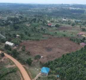 Kyabakadde Estate Kyabakadde Estate