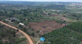 Kyabakadde Estate