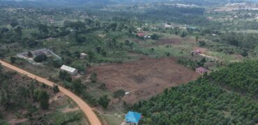 Kyabakadde Estate