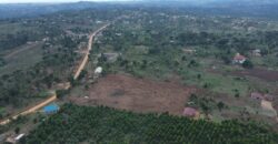 Kyabakadde Estate