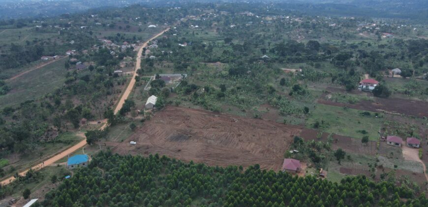 Kyabakadde Estate