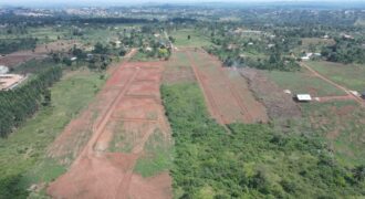 Kiyunga Estate Mukono