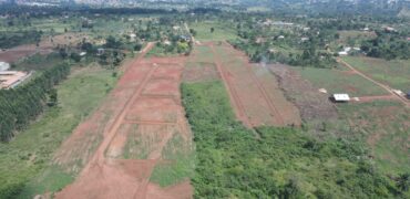 Kiyunga Estate Mukono