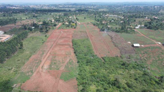 Kiyunga Estate Mukono